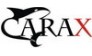 CARAX