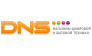Сеть магазинов DNS